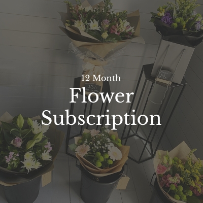 12 Month Subscription