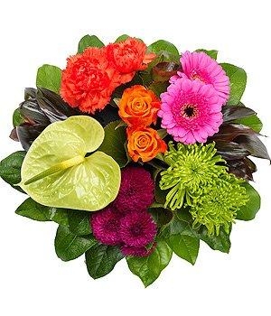 Posy Vibrant