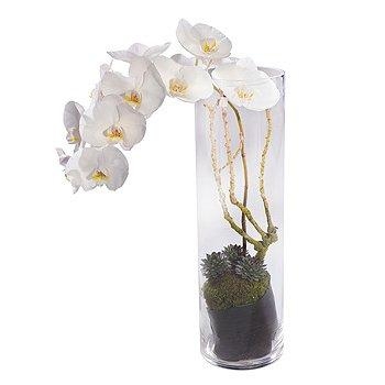 White Orchid Vase Arrangement