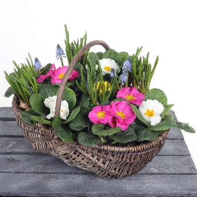 Joyful Spring Basket