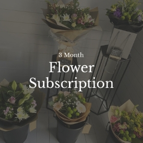 3 Month Subscription